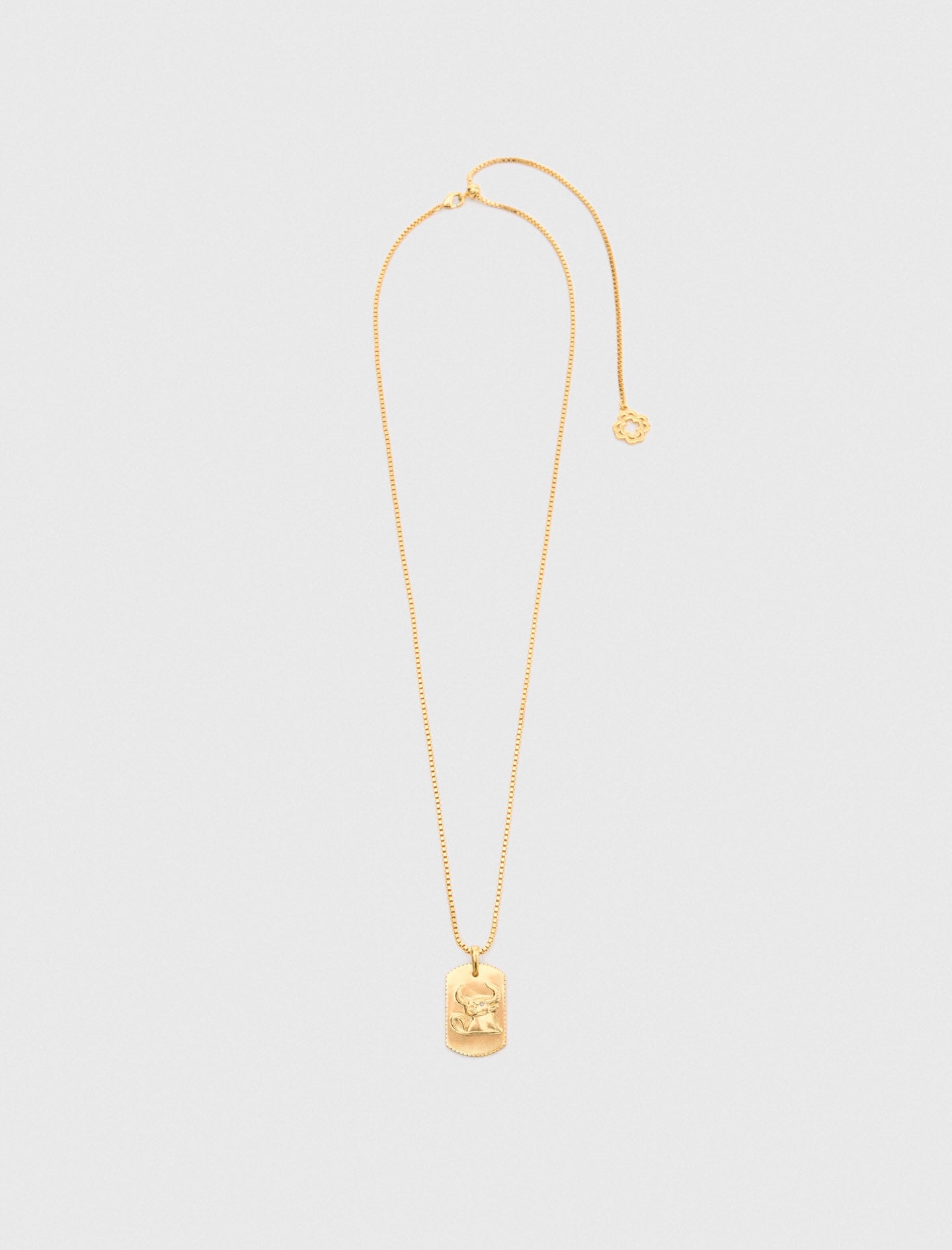Maje Zodiac sign plaque necklace