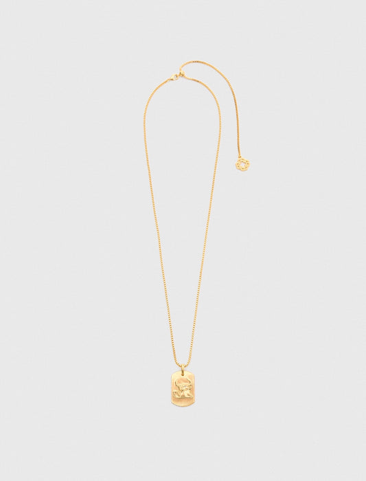 Maje Zodiac sign plaque necklace