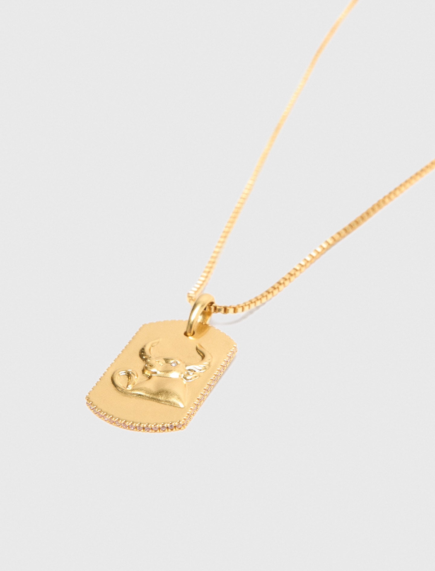 Maje Zodiac sign plaque necklace