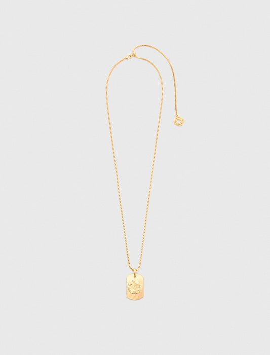 Maje Zodiac sign plaque necklace