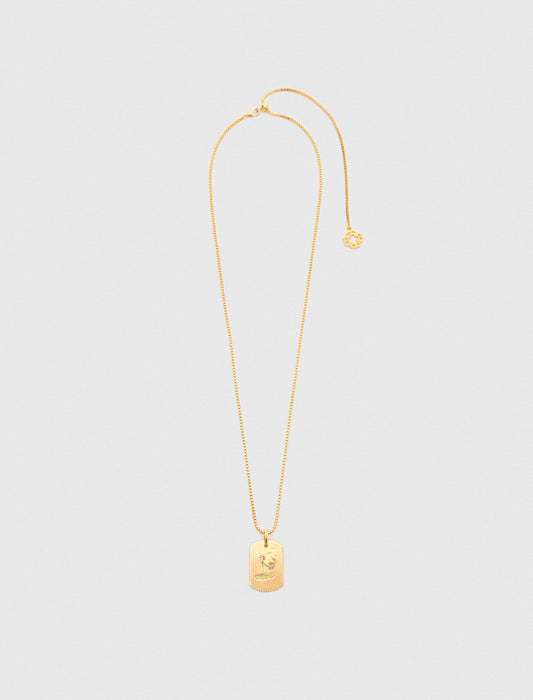 Maje Zodiac sign plaque necklace
