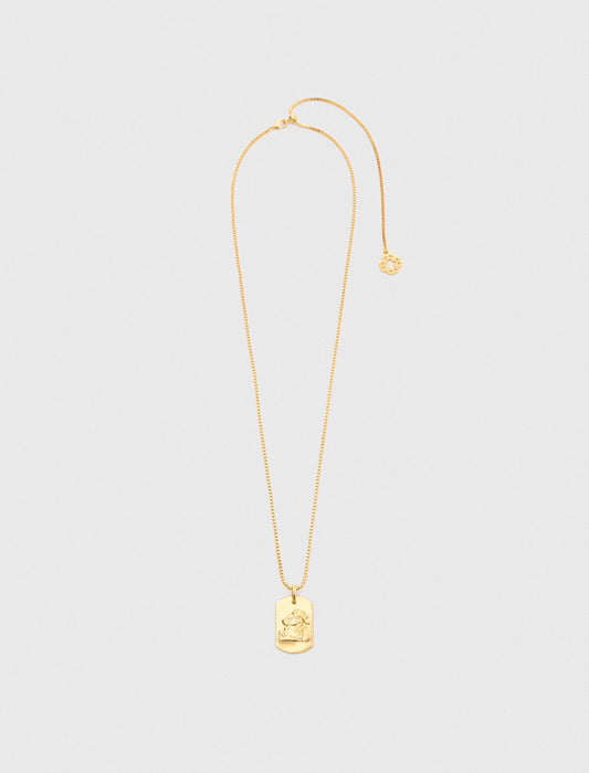 Maje Zodiac sign plaque necklace