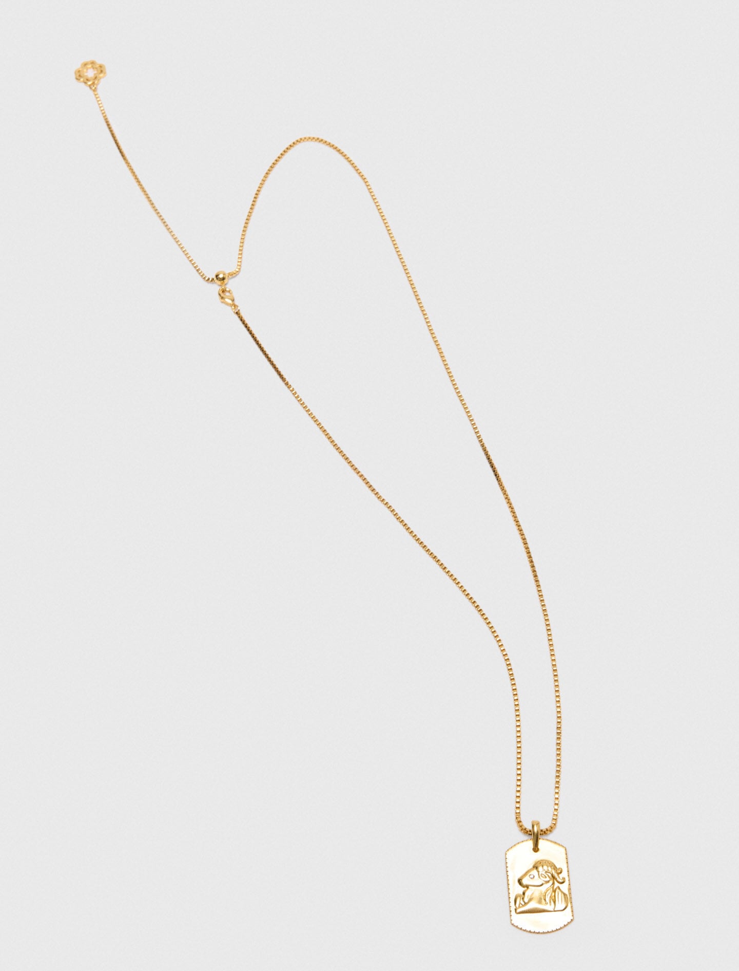 Maje Zodiac sign plaque necklace