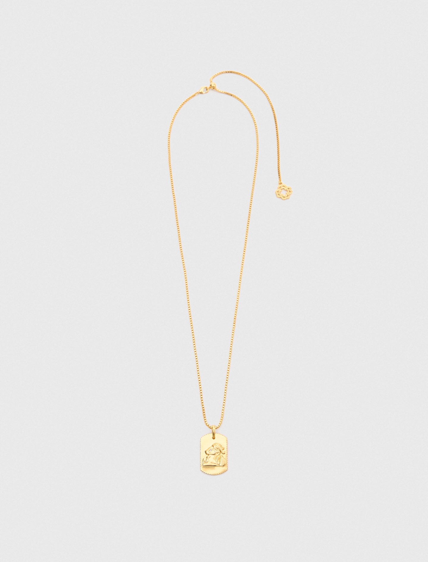 Maje Zodiac sign plaque necklace