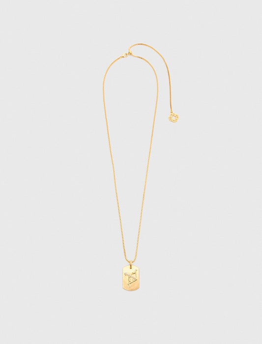 Maje Zodiac sign plaque necklace