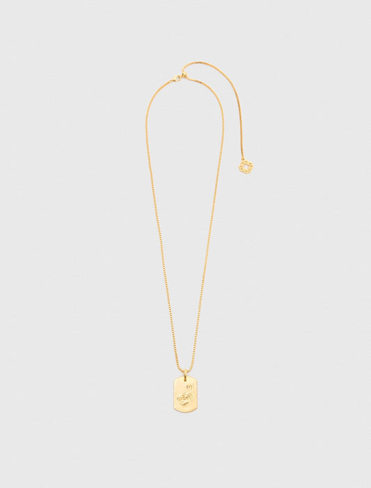 Maje Zodiac sign plaque necklace