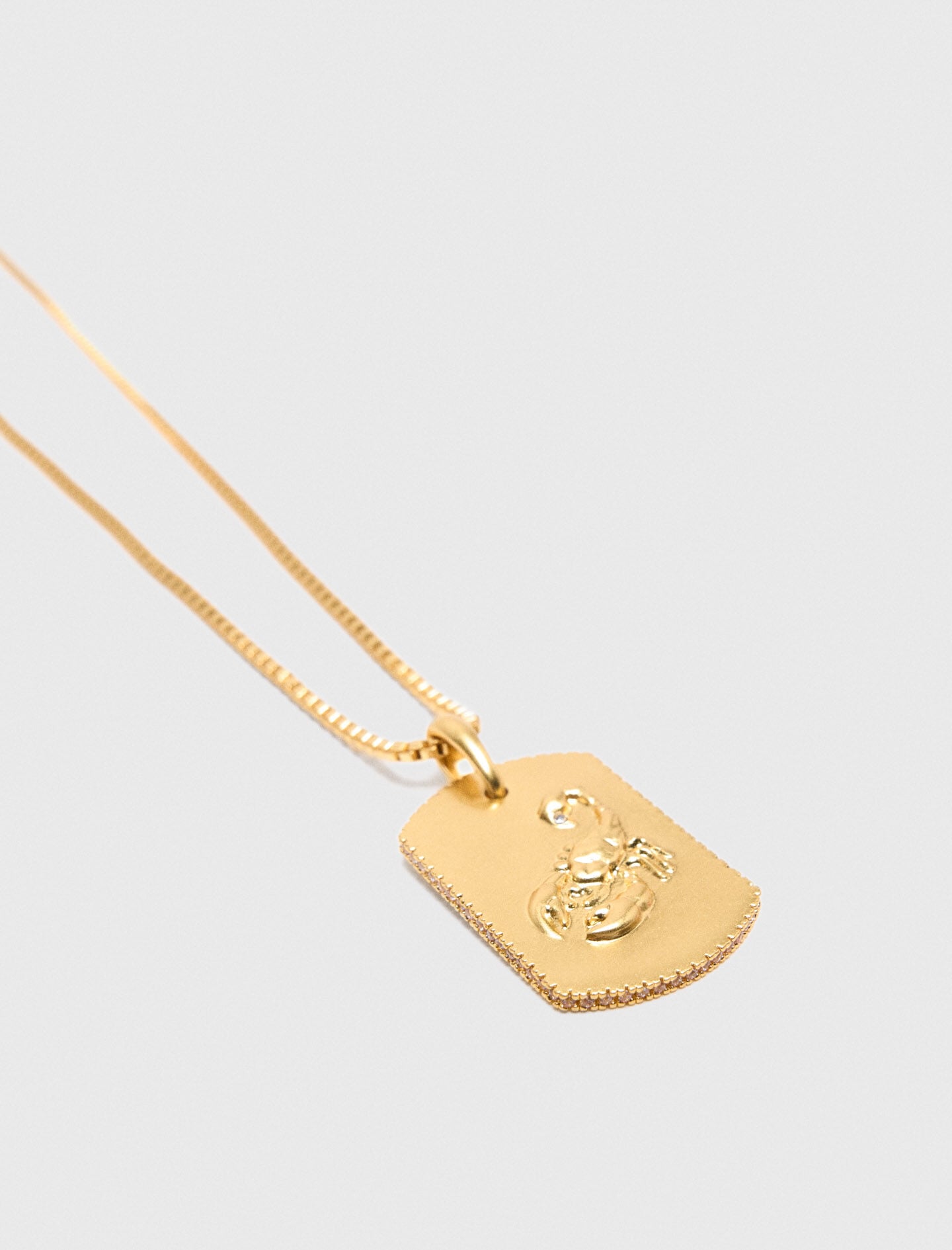 Maje Zodiac sign plaque necklace