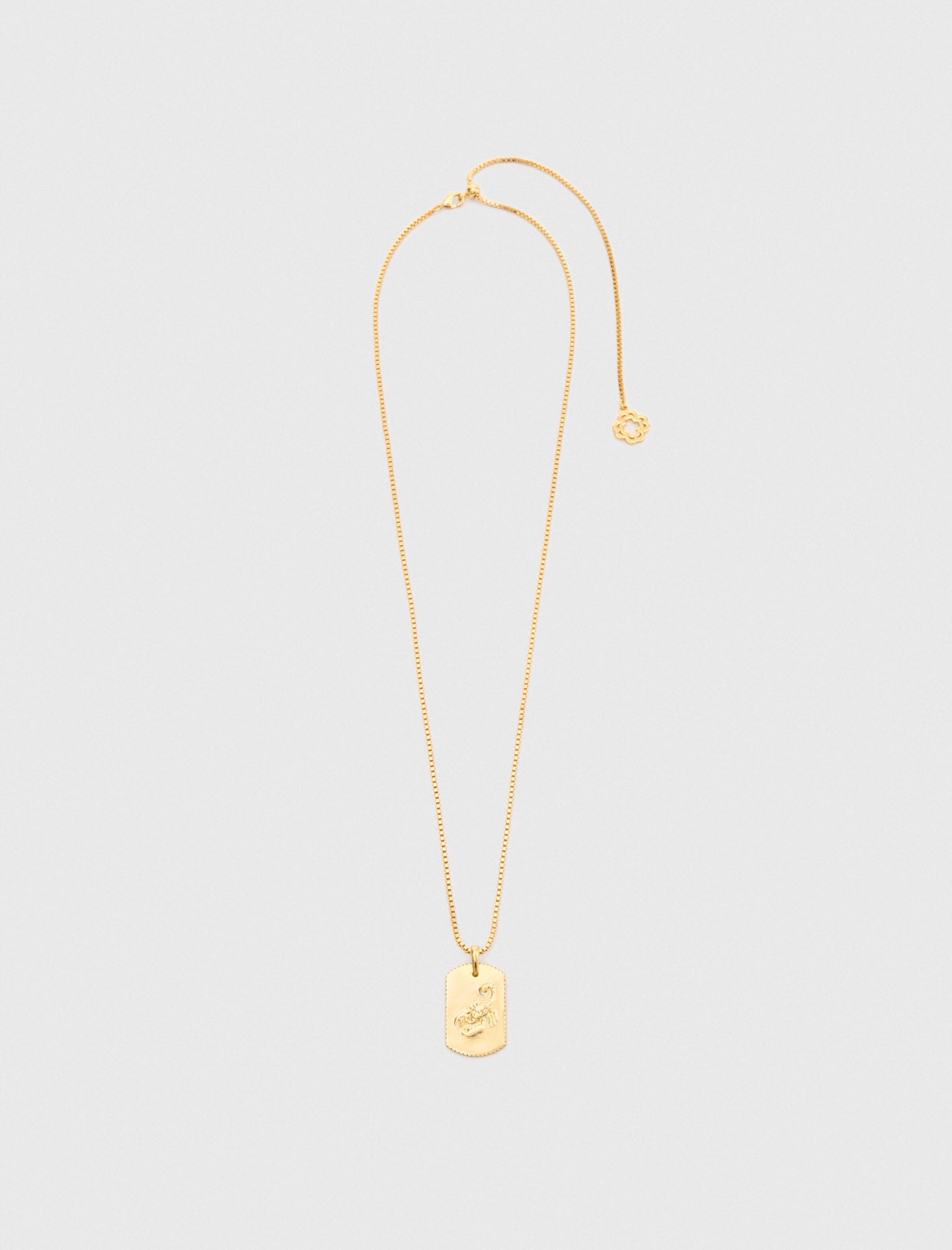 Maje Zodiac sign plaque necklace