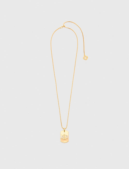 Maje Zodiac sign plaque necklace