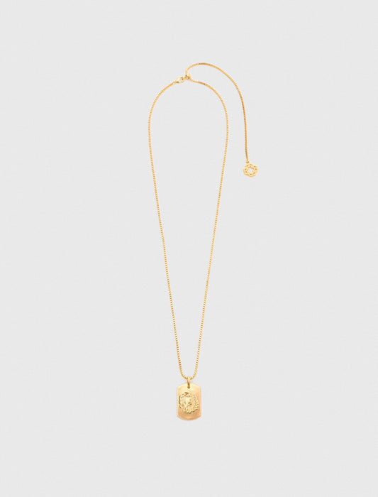 Maje Zodiac sign plaque necklace