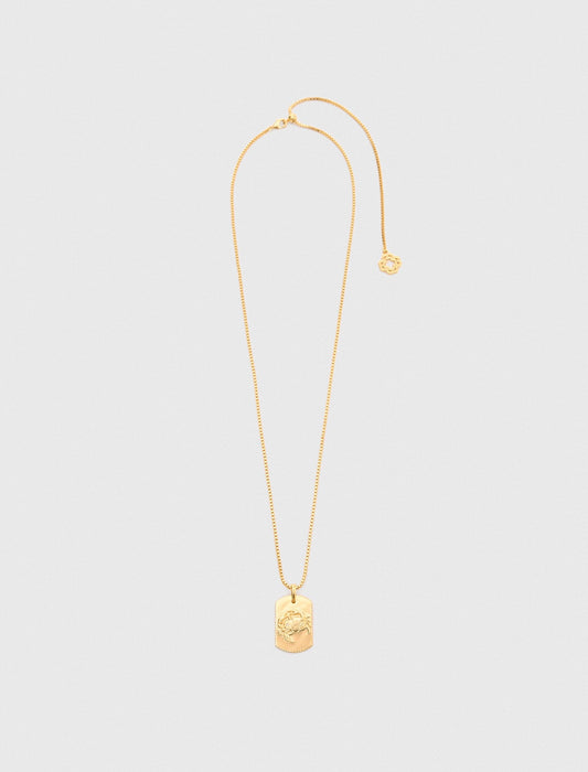 Maje Zodiac sign plaque necklace