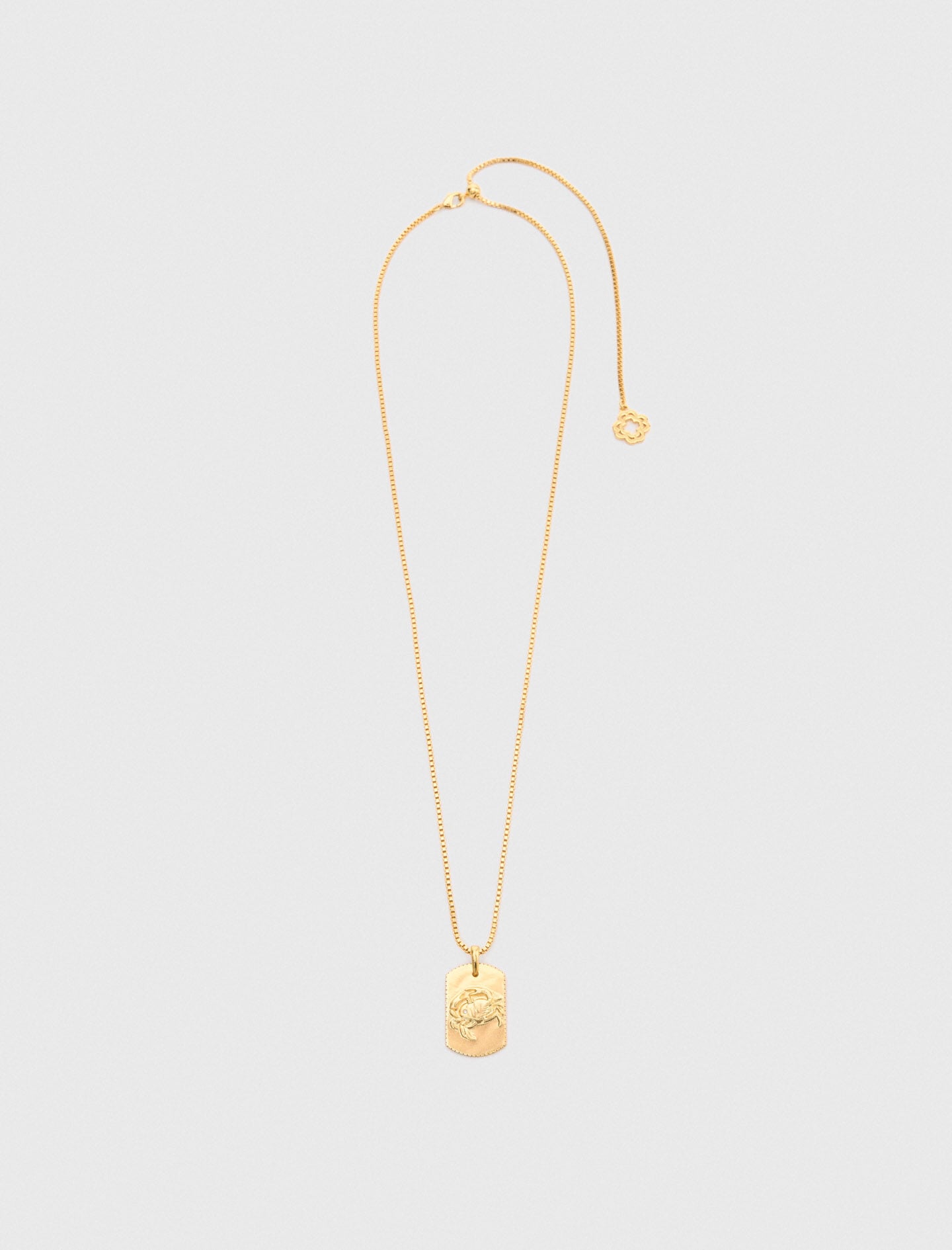 Maje Zodiac sign plaque necklace