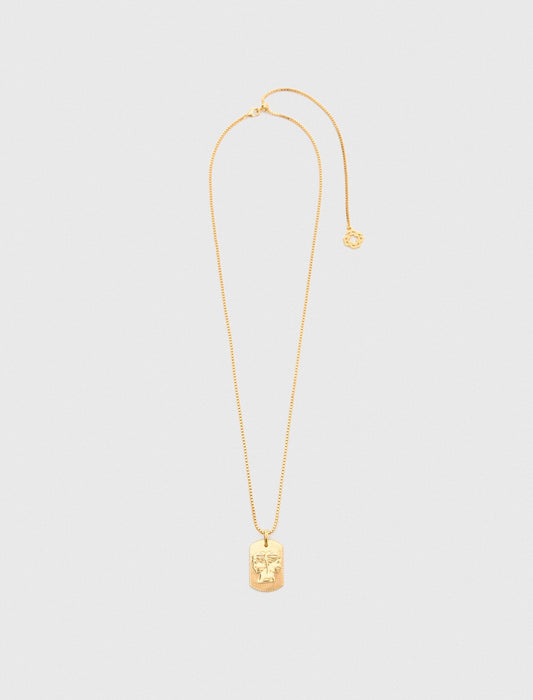 Maje Zodiac sign plaque necklace
