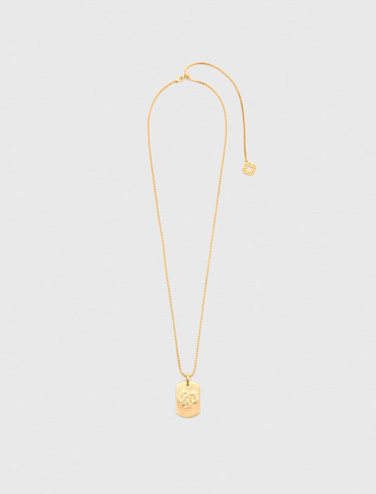 Maje Zodiac sign plaque necklace