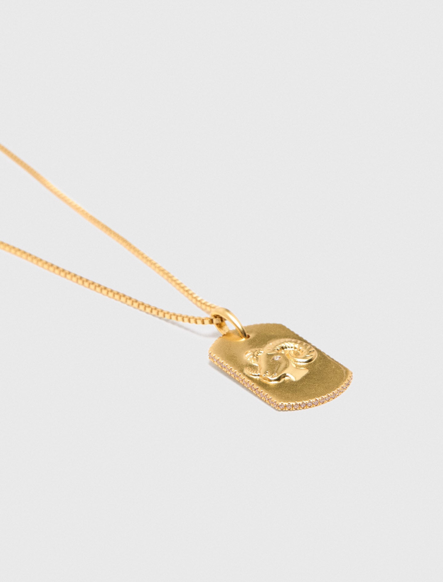 Maje Zodiac sign plaque necklace