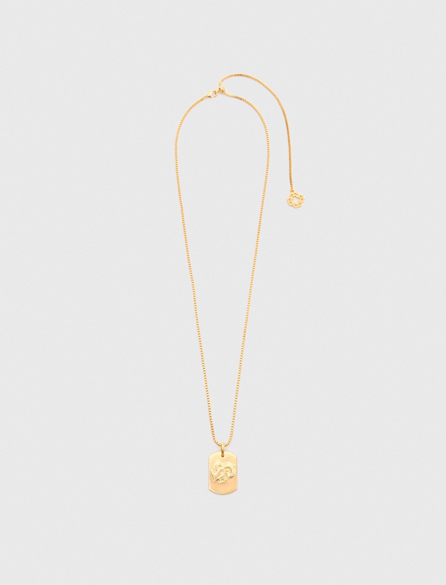 Maje Zodiac sign plaque necklace