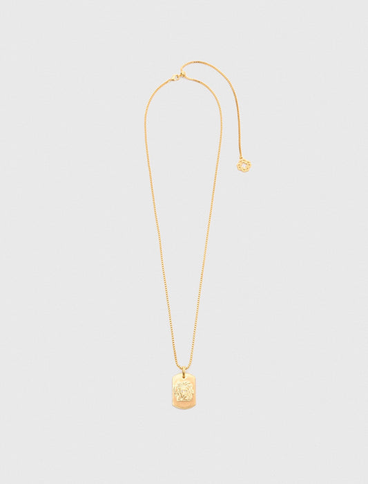 Maje Zodiac sign plaque necklace